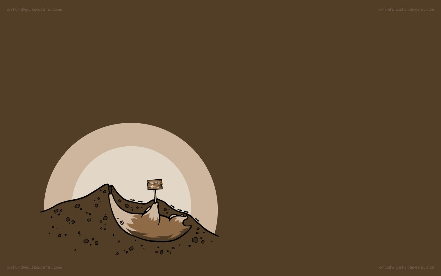 Mole's underground home