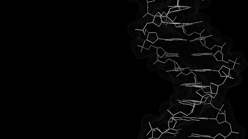 Molecular Structure — Black