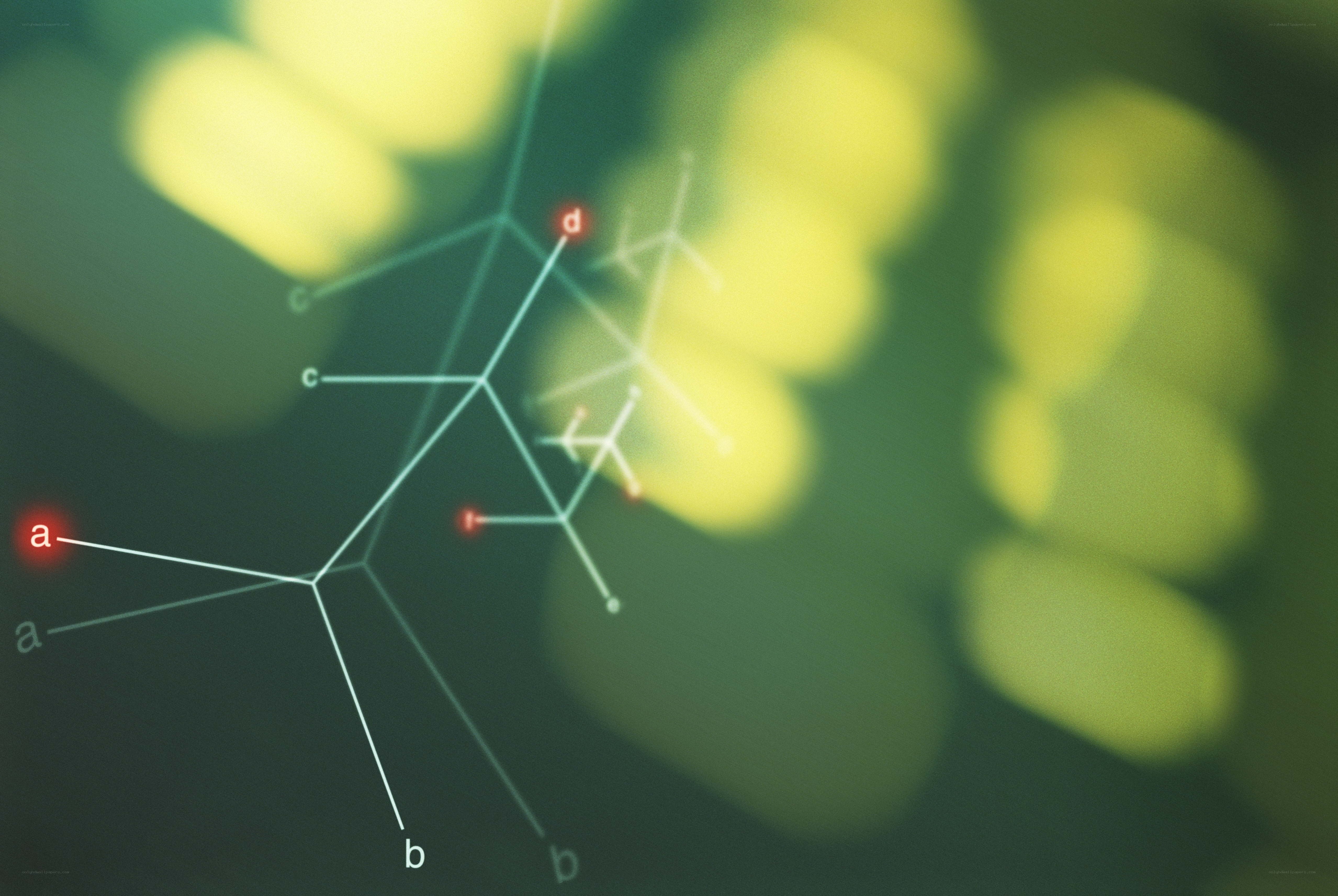 molecular structure diagram