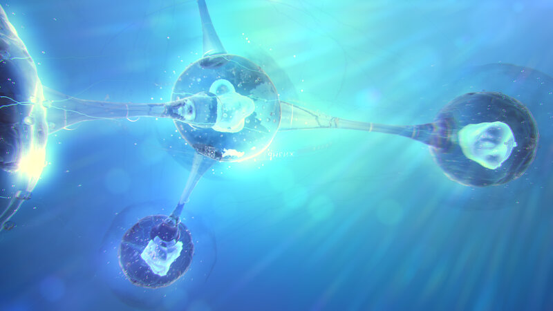 Molecular Structure in Water