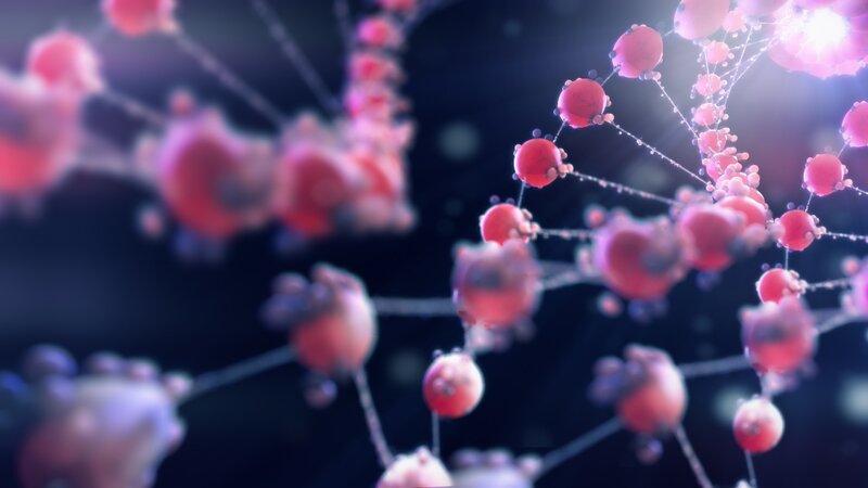 Molecular Structure Network