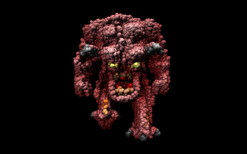 Molecular Structure of a Protein