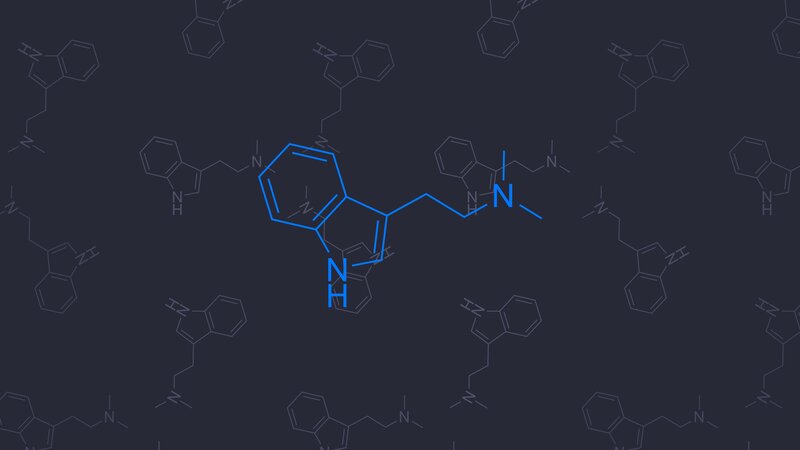 Molecular Structure of Serotonin