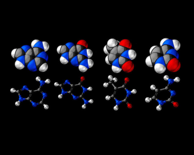 molecular structures of tryptophan