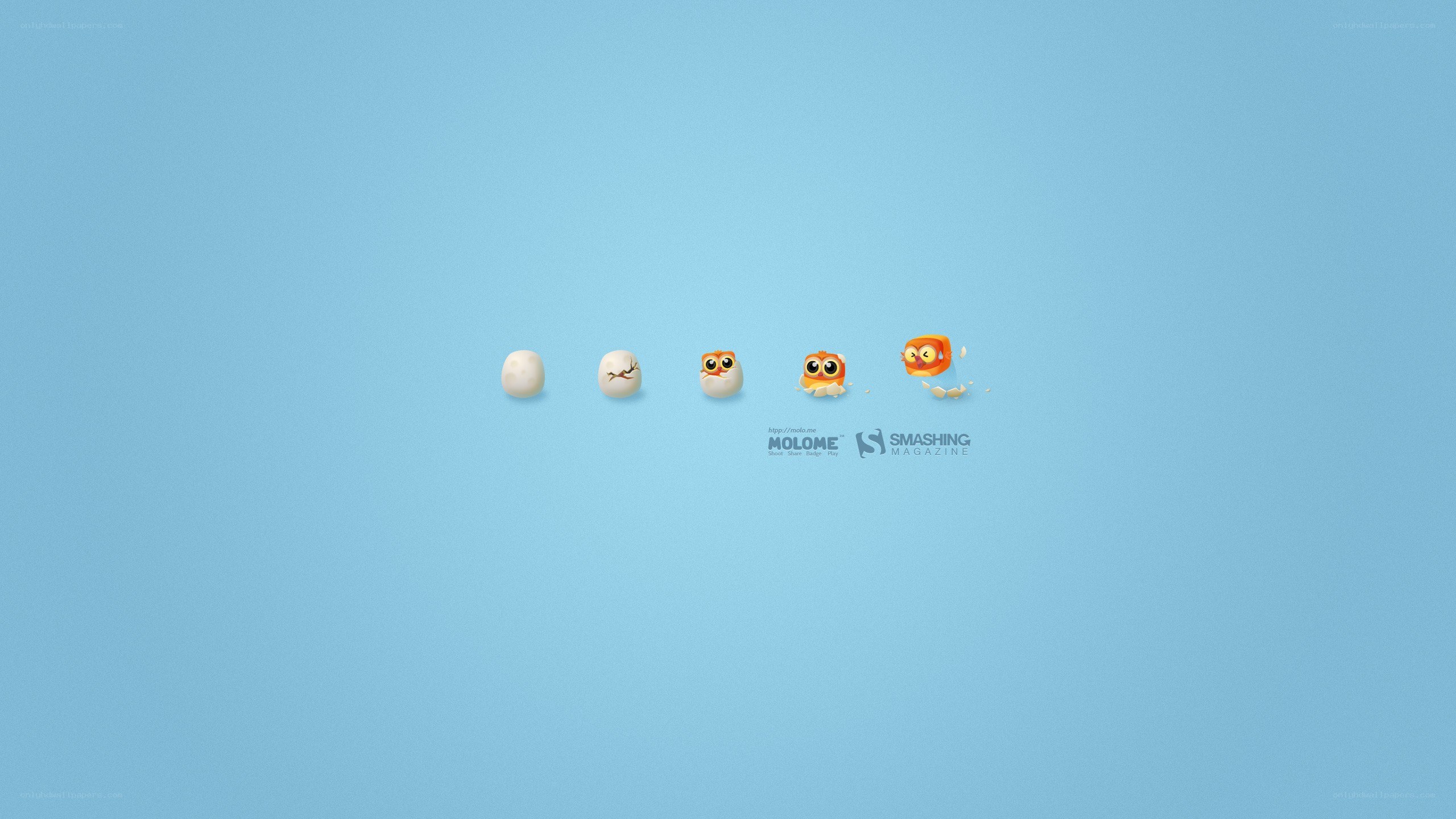 Molome game character evolution