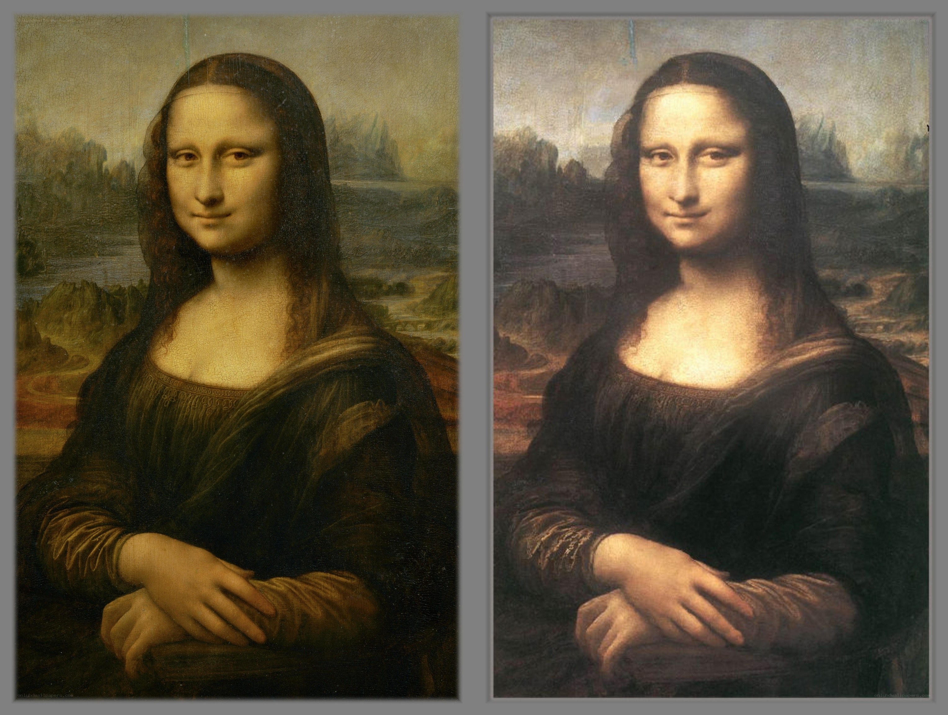 Mona Lisa portrait comparison