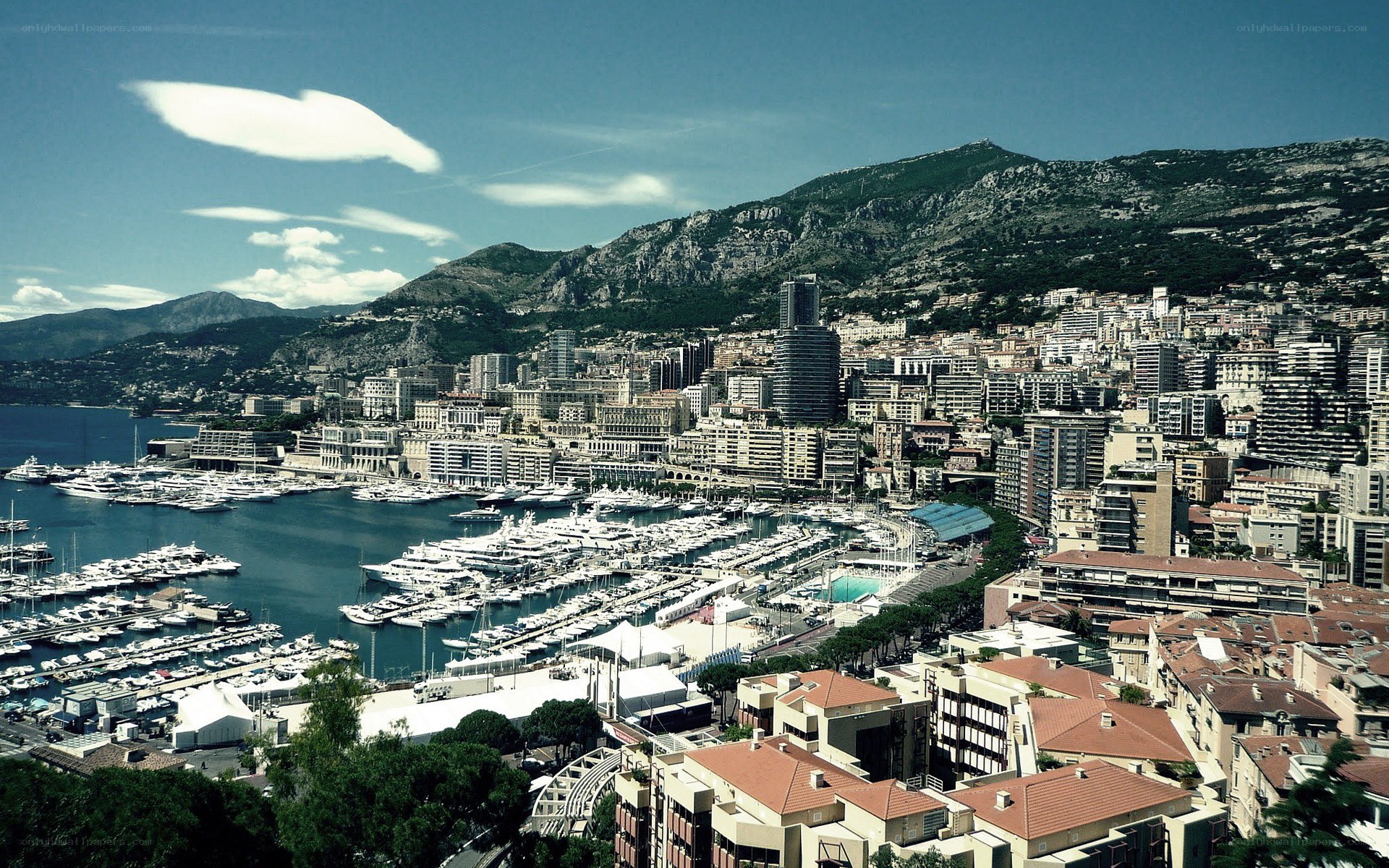 Monaco harbor and cityscape