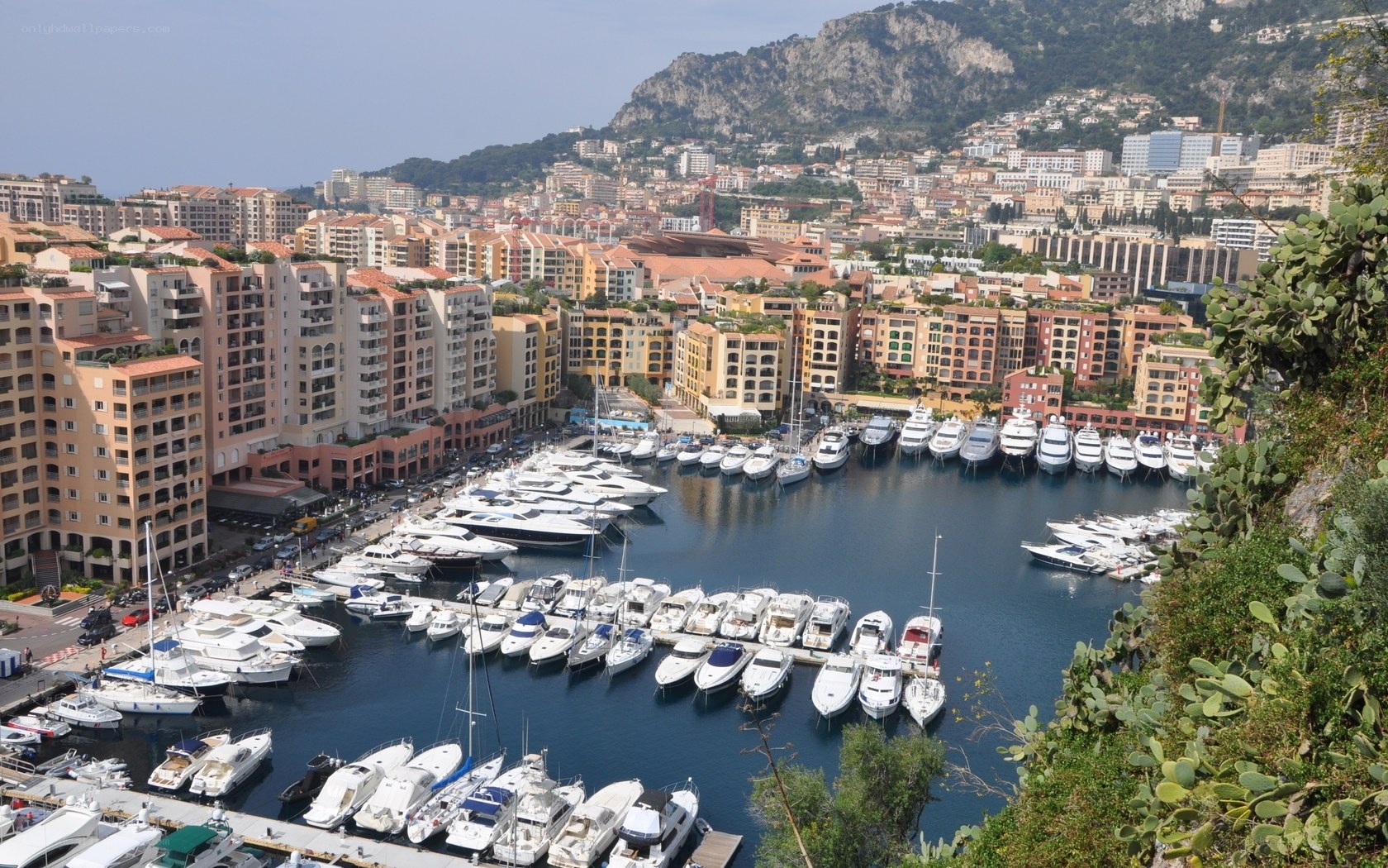 Monaco harbor view