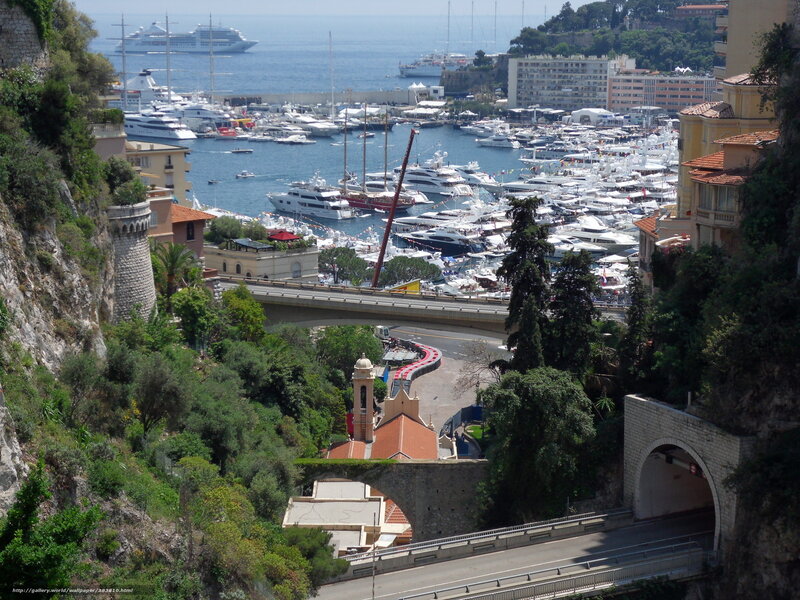 Monaco harbor view