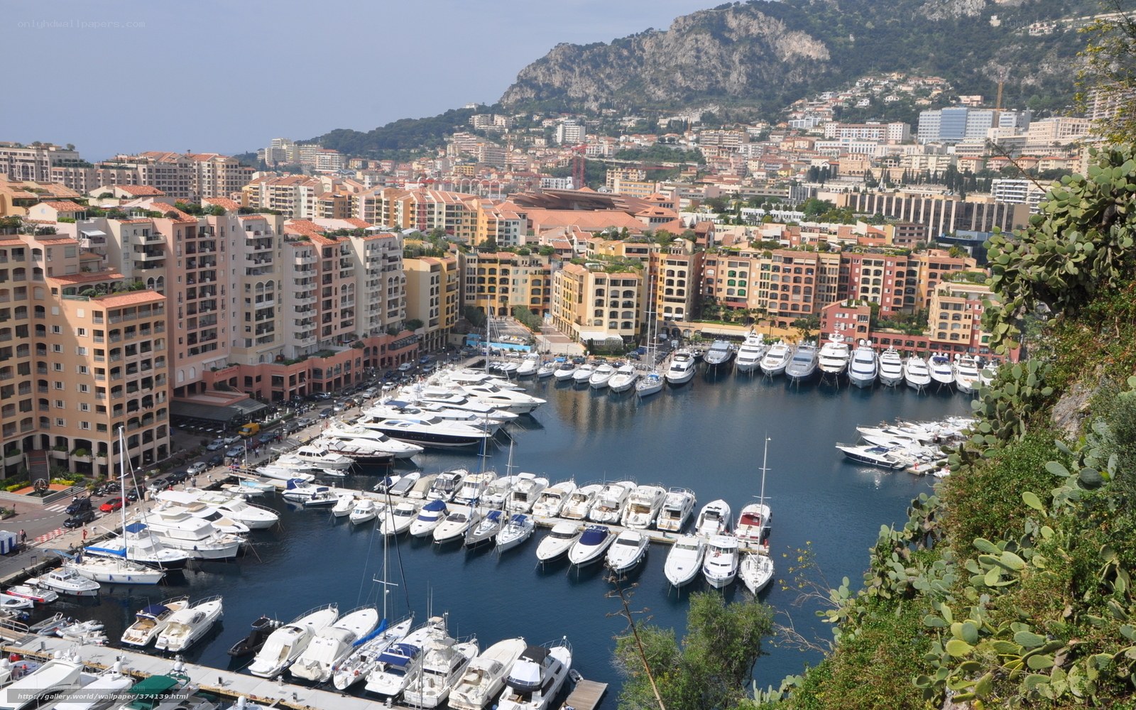 Monaco marina and cityscape