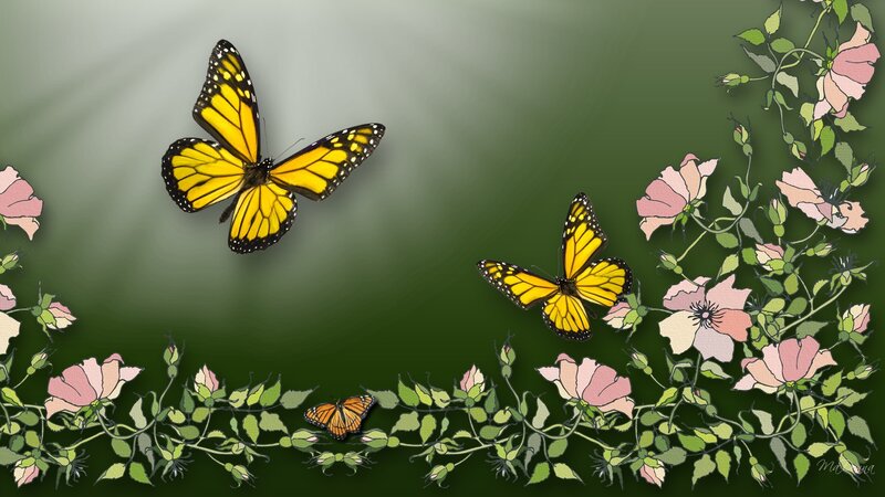 Monarch Butterflies and Flowers