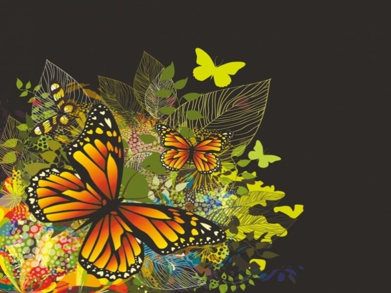 Monarch Butterflies — Black