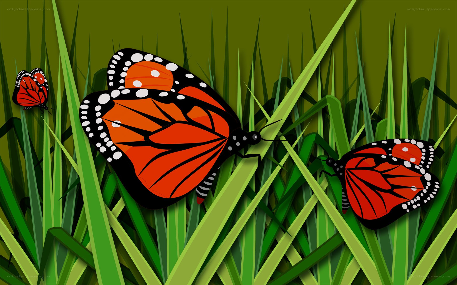 Monarch butterflies in grass