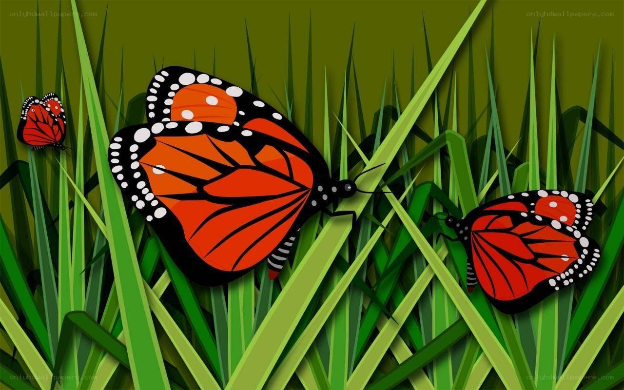 monarch butterflies in grass