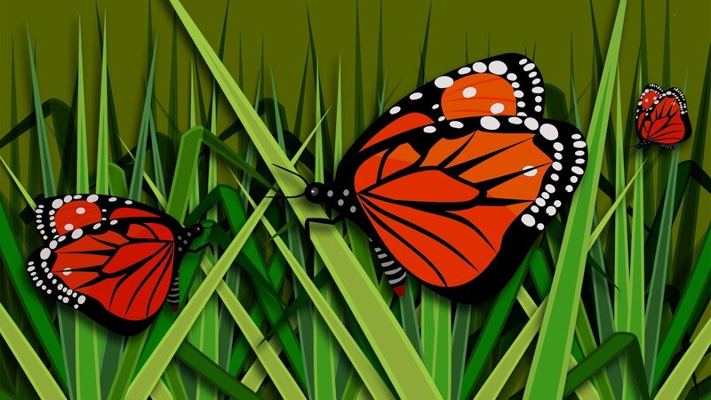 Monarch Butterflies in Grass — Green, Calm, Digital Art