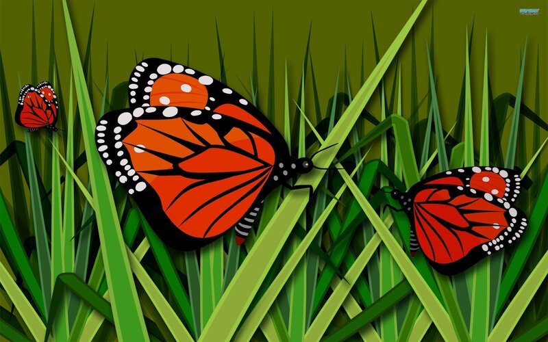Monarch Butterflies in Grass — Green, Calm