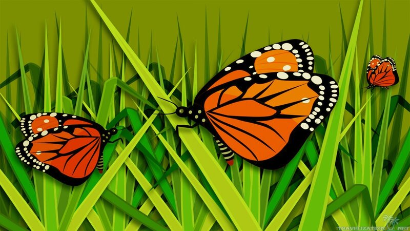Monarch Butterflies in Grass — Green