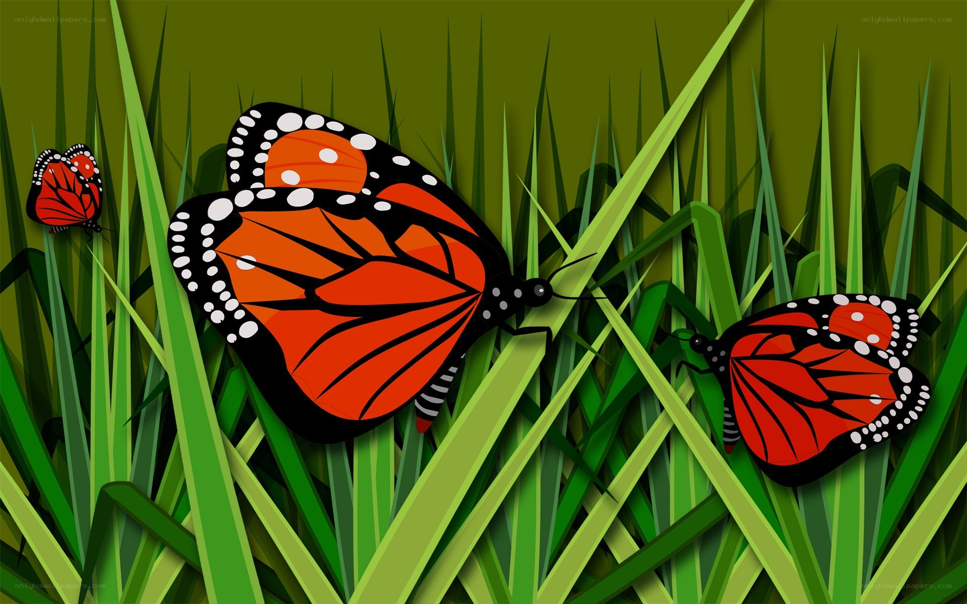 monarch butterflies in grass