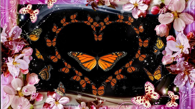 Monarch Butterflies in Heart