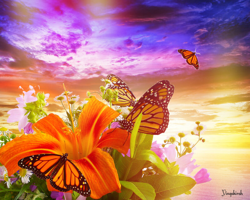 Monarch Butterflies on Flowers — Orange, Dramatic