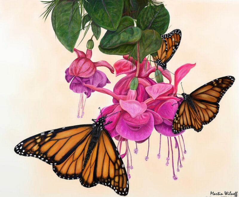 Monarch Butterflies on Flowers — Orange, Serene