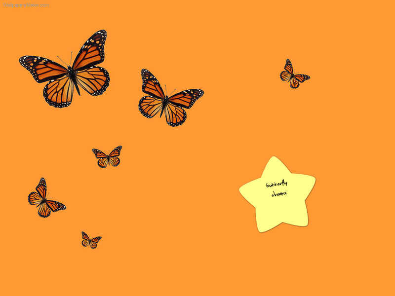 Monarch Butterflies — Orange, Calm, Illustration
