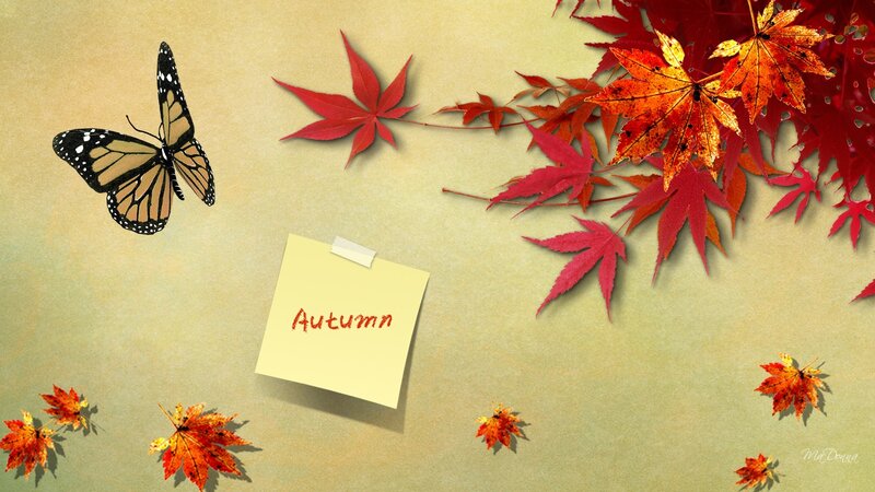 Monarch Butterfly and Autumn Leaves
