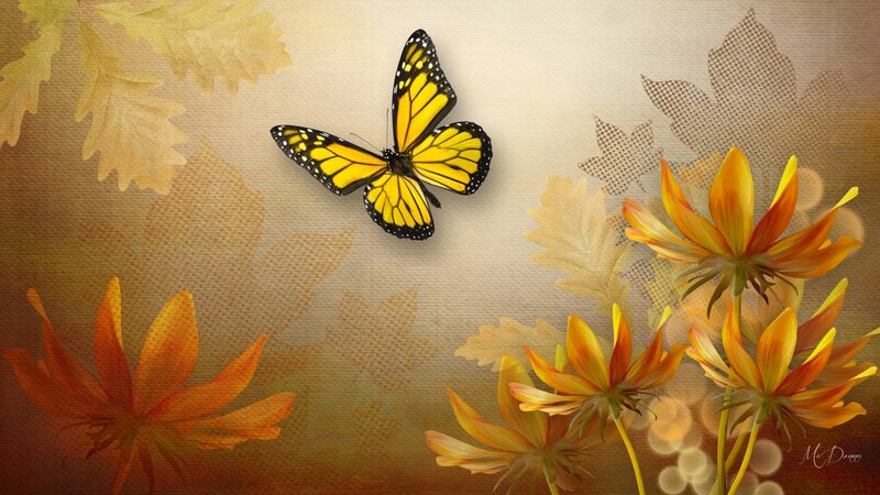 Monarch Butterfly and Flowers