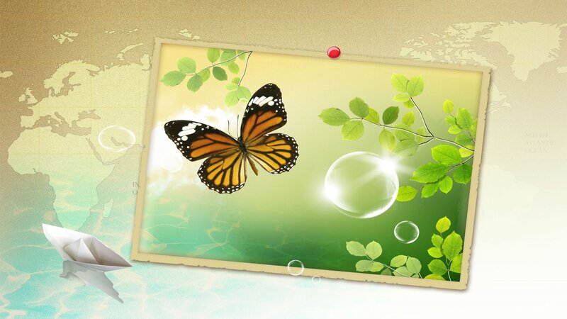 Monarch Butterfly — Green, Serene
