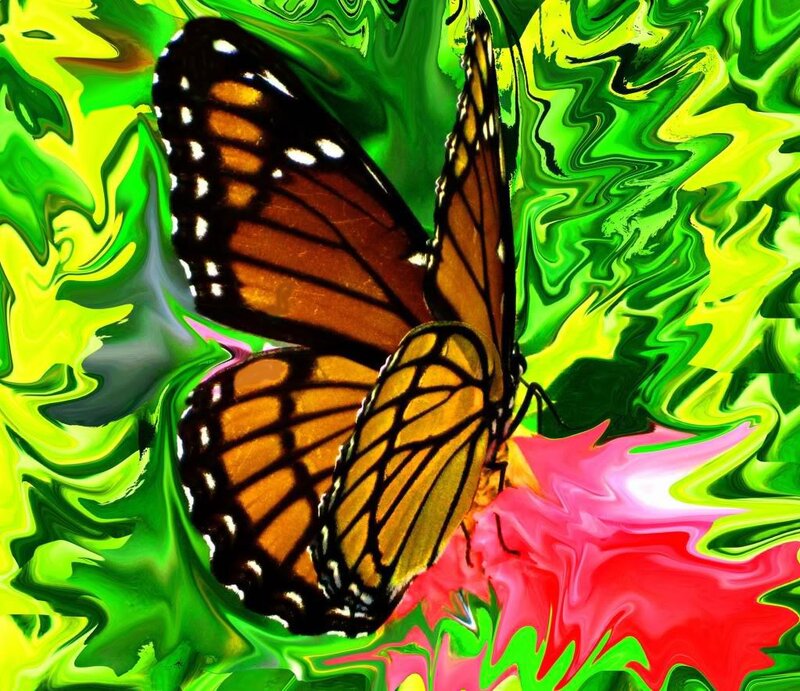 Monarch Butterfly — Green
