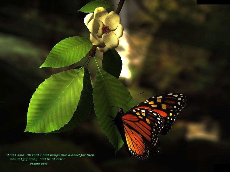Monarch Butterfly on Flower — Green, Serene