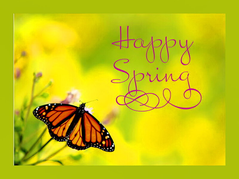 Monarch Butterfly on Flower — Yellow, Cheerful
