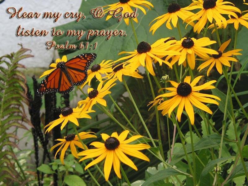 Monarch Butterfly on Flowers — Yellow, Serene