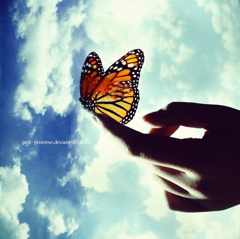 Monarch Butterfly on Hand — Blue