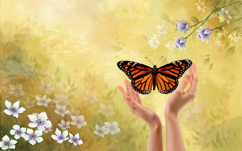 Monarch Butterfly on Hands