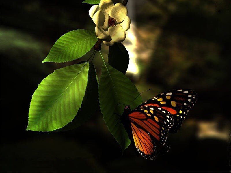 Monarch Butterfly on Leaf — Green, Dramatic