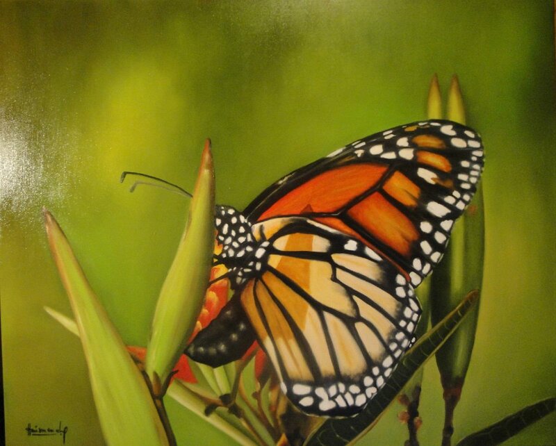 Monarch Butterfly on Plant — Green