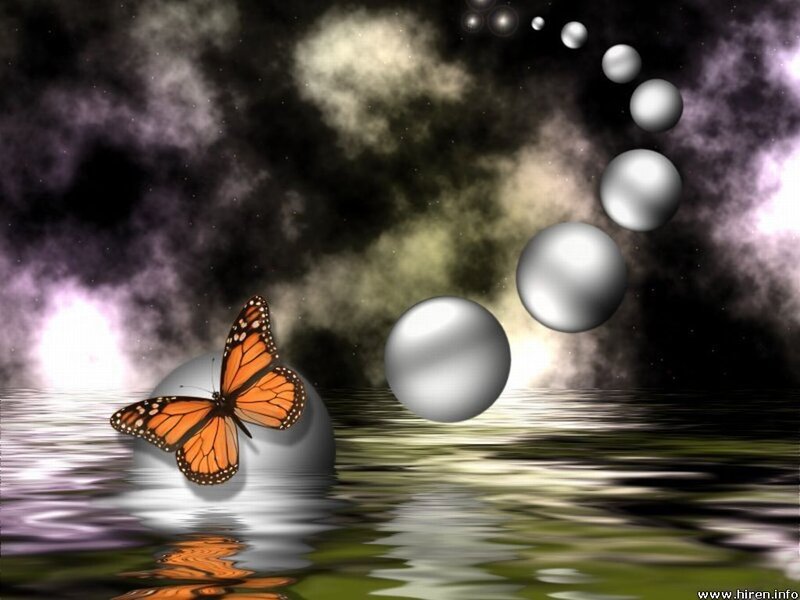 Monarch Butterfly on Sphere