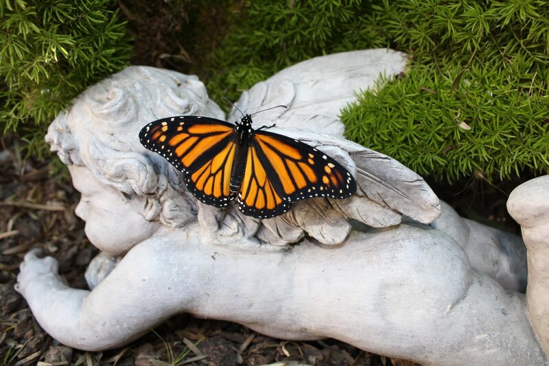 Monarch Butterfly on Statue
