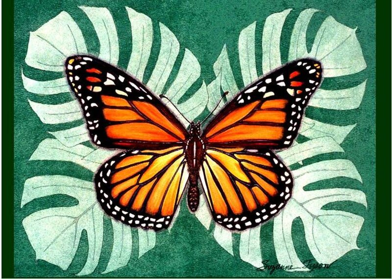 Monarch Butterfly — Orange, Calm, Illustration