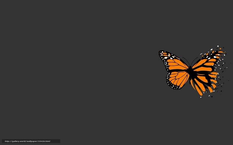 Monarch butterfly wallpaper
