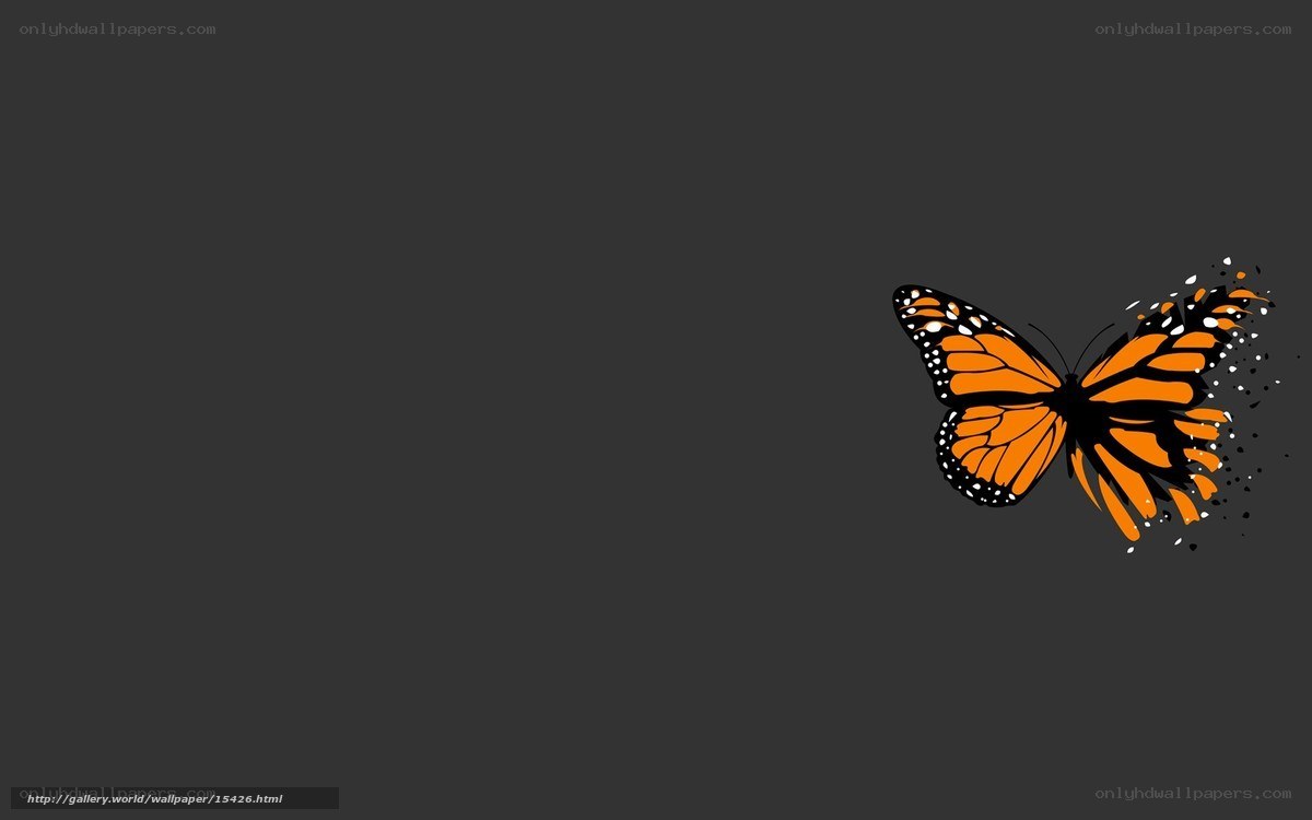 Monarch butterfly wallpaper