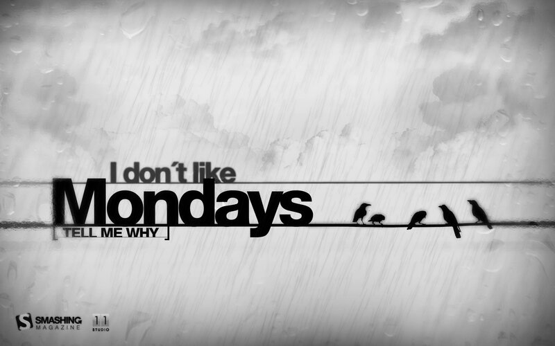 monday rain birds