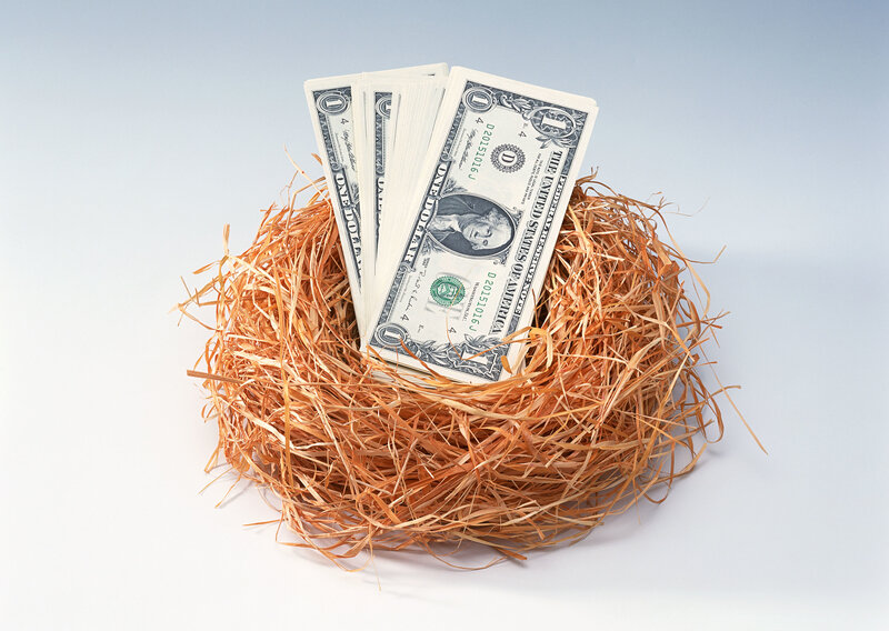 Money in a bird's nest