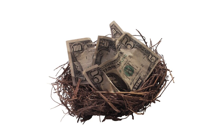 money in a bird's nest