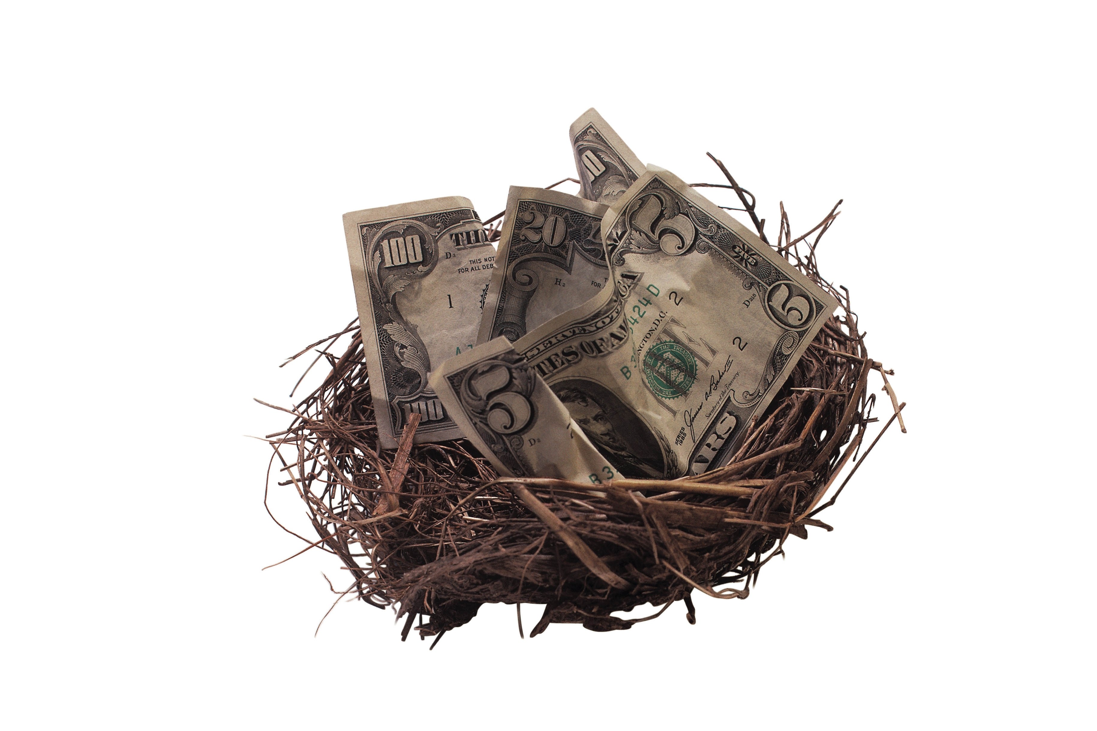 money in a bird's nest