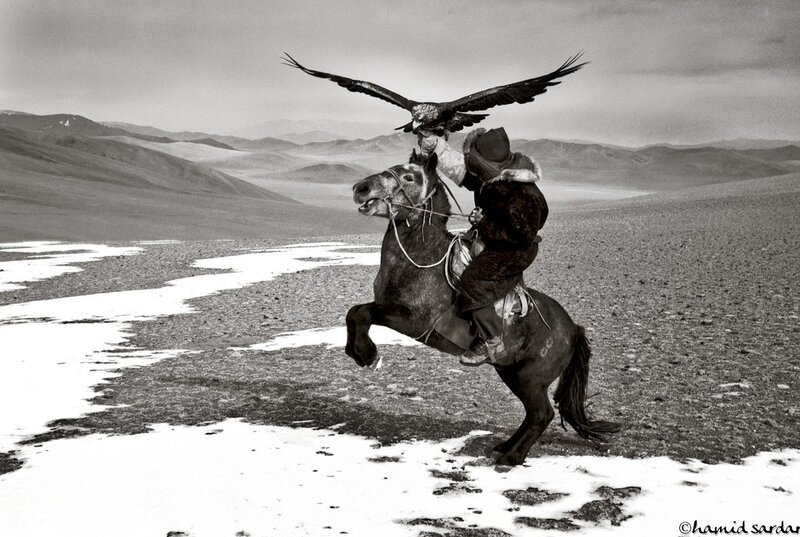 Mongolian Eagle Hunter — Black