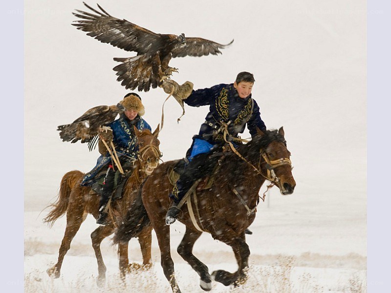 Mongolian eagle hunters on horseback