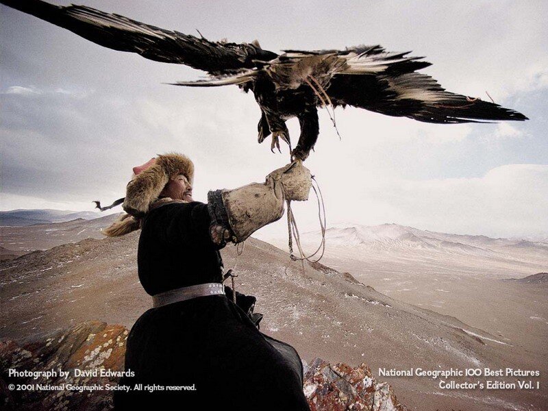 Mongolian falconer with eagle
