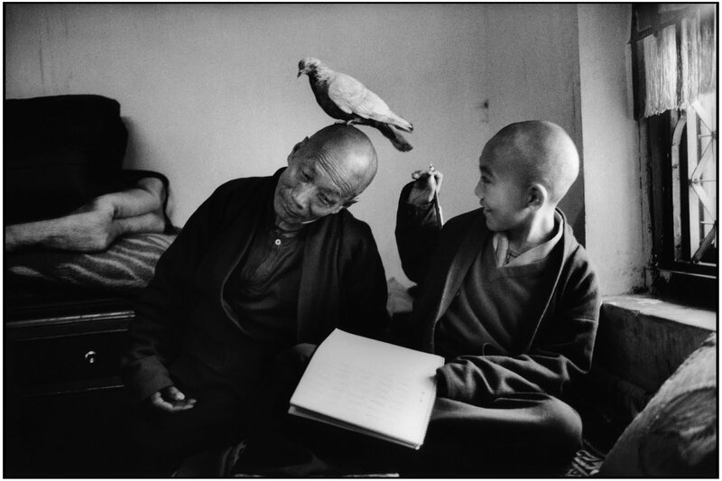 Monk and boy with pigeon